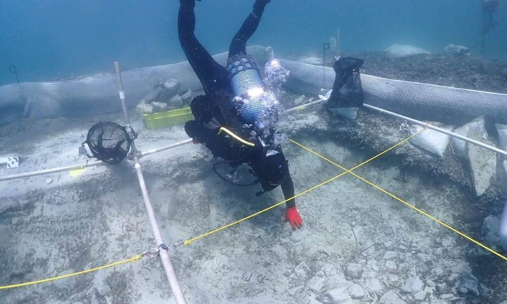 European Archaeology Days – Salina Bay Excavation Open Day