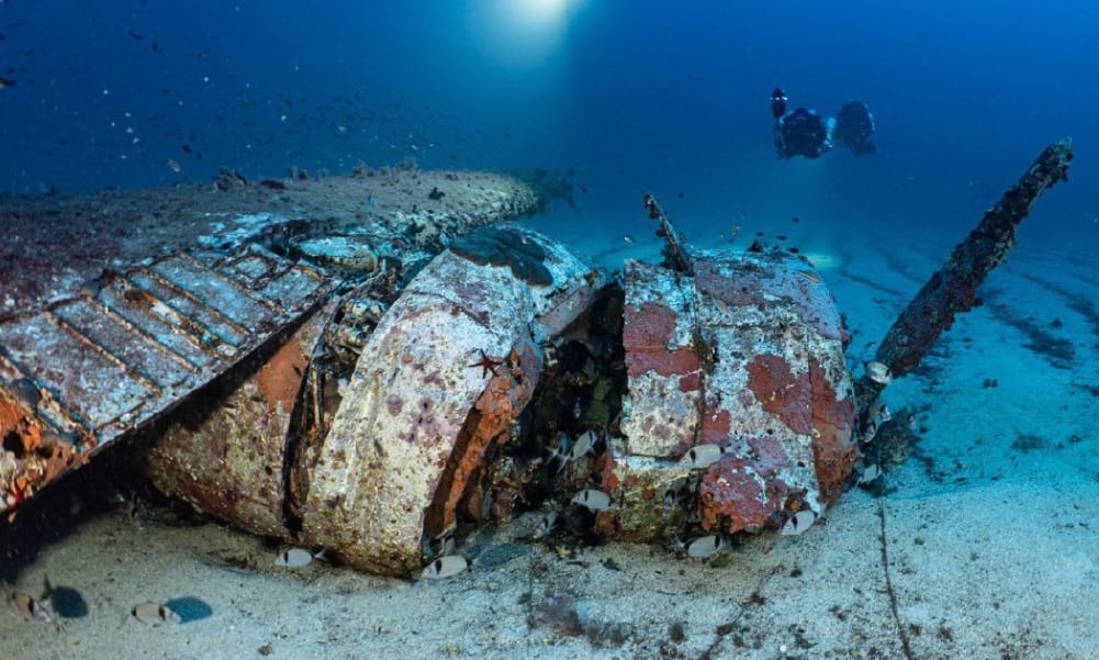 (LOW AVAILABILITY) Shipwrecks and artifacts from the Sea