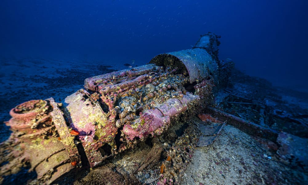 Shipwrecks as Memory – a case study from Malta by Prof. Timmy Gambin