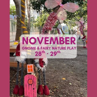 The Gnome & Fairy nature play