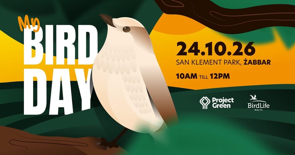 My Bird Day