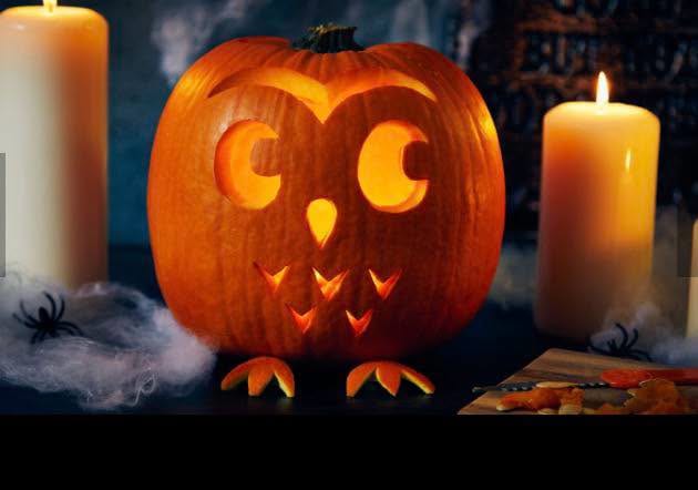 Pumpkin Carving at Girgenti Farm (All Ages)