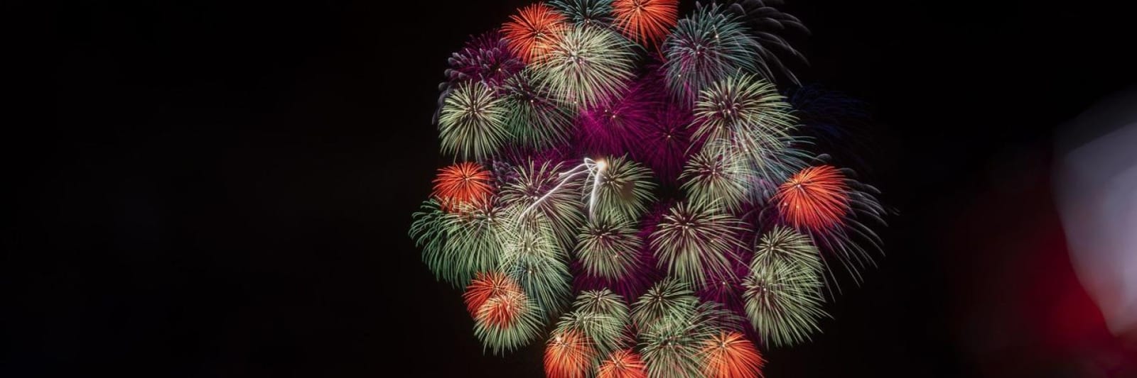 Light Up the Sky – Pyromusical Fireworks Show
